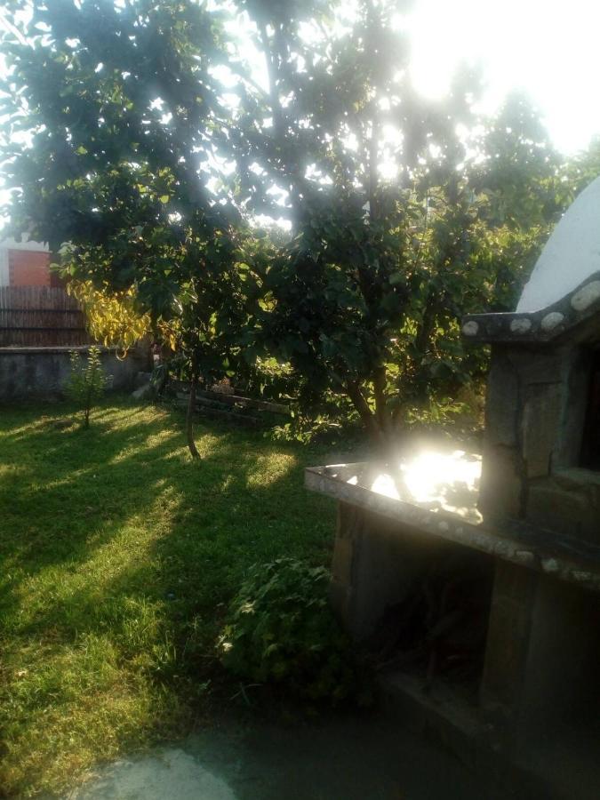 Къща За Гости Ягода Sapareva Banya Εξωτερικό φωτογραφία