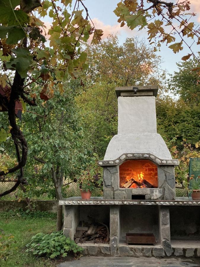 Къща За Гости Ягода Sapareva Banya Εξωτερικό φωτογραφία